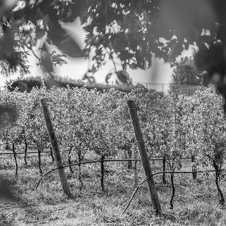 Milesi In Franciacorta *